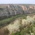 Canyon in the Nature Park "Rusenski Lom"